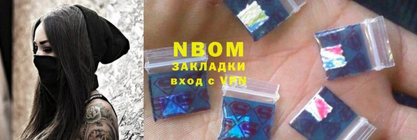 индика Аркадак