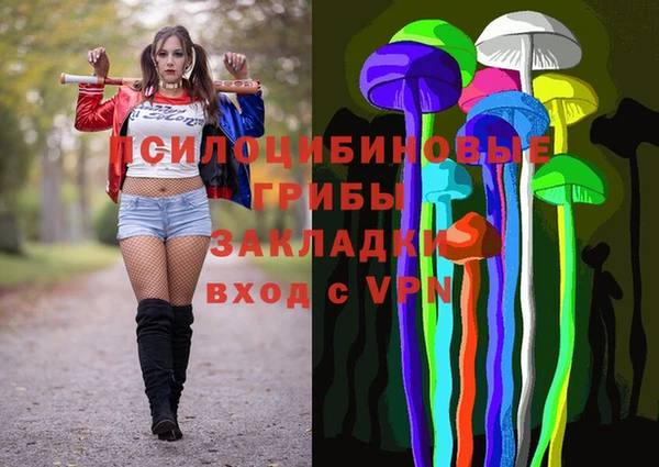 эйфоретик Арсеньев