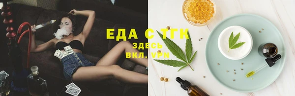 эйфоретик Арсеньев