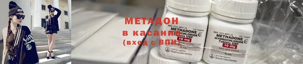 индика Аркадак