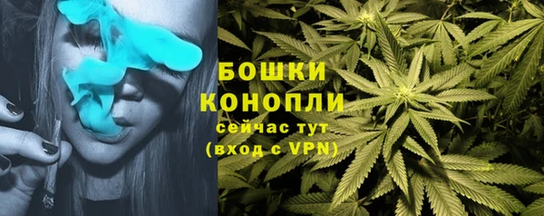 эйфоретик Арсеньев