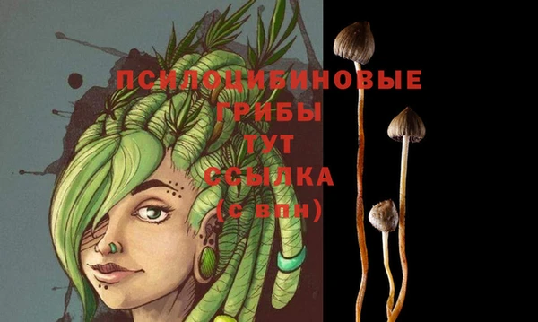 индика Аркадак