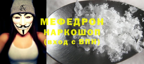 индика Аркадак