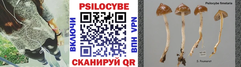 Псилоцибиновые грибы мухоморы  наркошоп  Билибино 